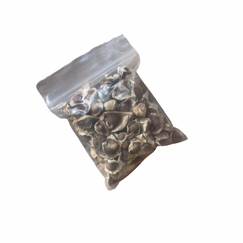 Dickson's MORINGA SEEDS